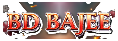 bd bajee logo